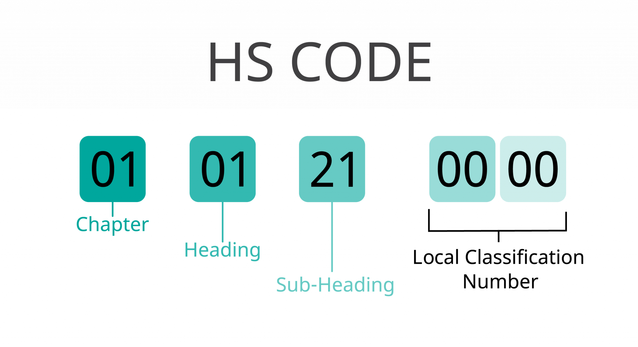Canadian Customs Brokerage Everything You Need to Know (2022) ENERGY